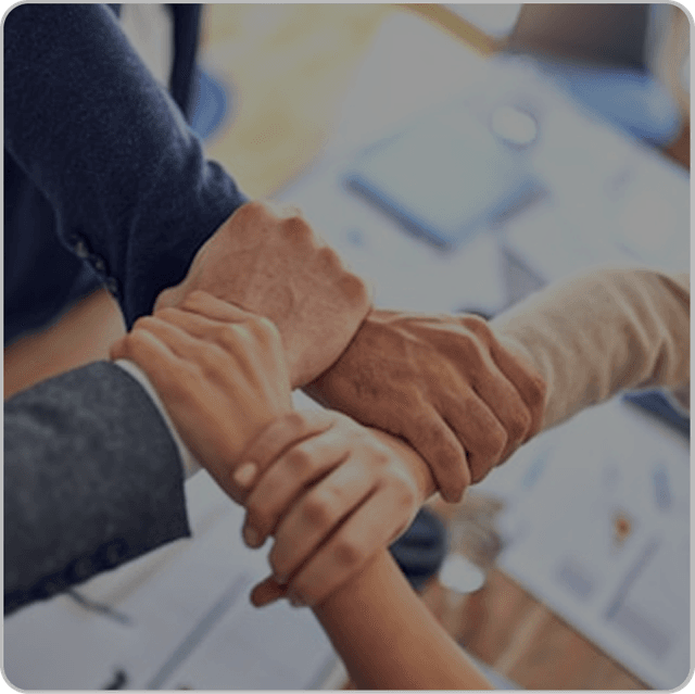 Professional Services